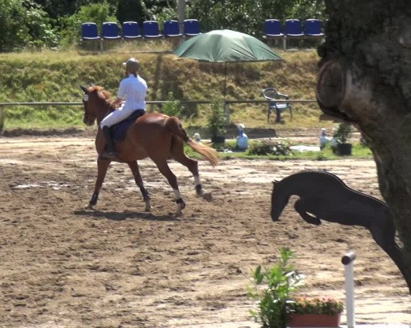 Reitturnier Neuss-Uedesheim 2018