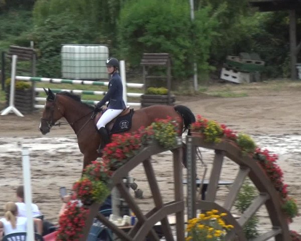 Reitturnier Neuss-Uedesheim 2018