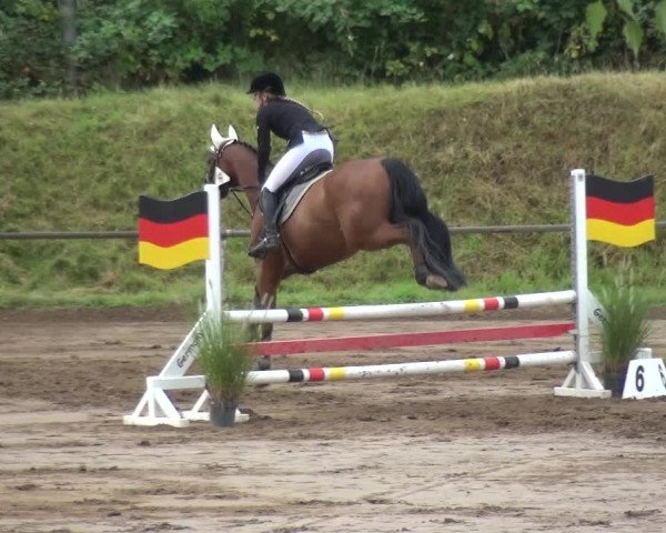 Reitturnier Neuss-Uedesheim 2018