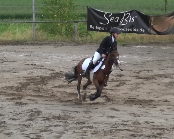 Reitturnier Neuss-Uedesheim 2018