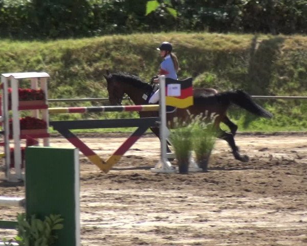 Reitturnier Neuss-Uedesheim 2018