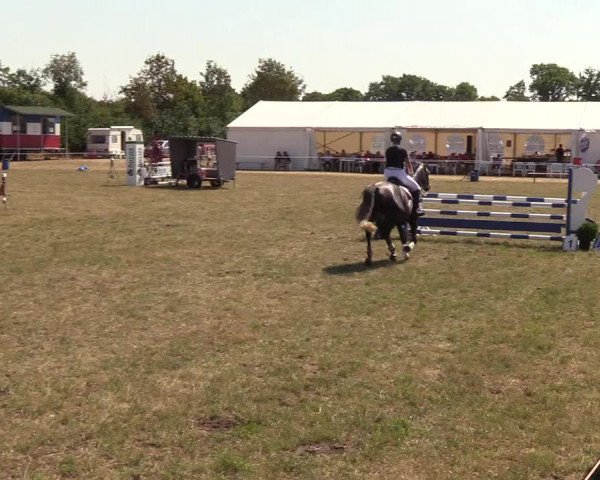 Reitturnier Sollerup 2018