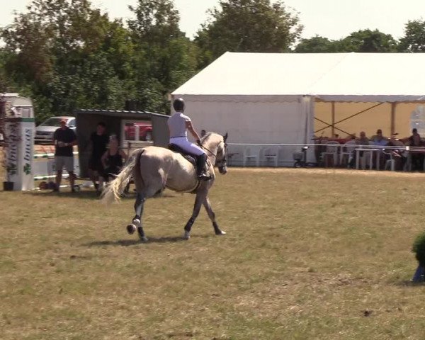 Reitturnier Sollerup 2018