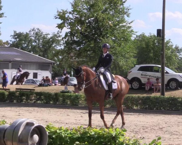 Reitturnier Olfen-Vinnum 2018