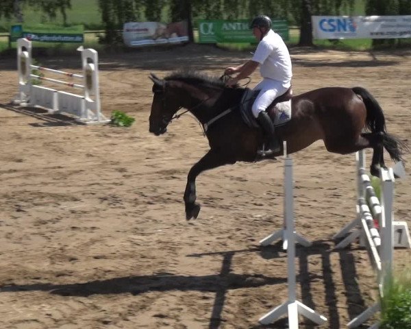 Reitturnier Neuss-Uedesheim 2018