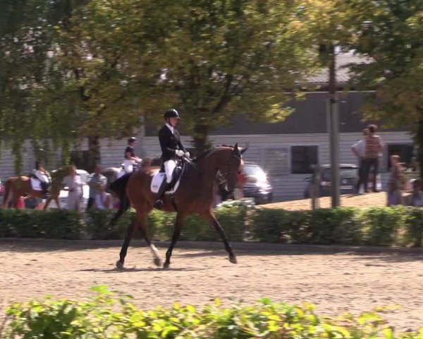 Reitturnier Olfen-Vinnum 2018