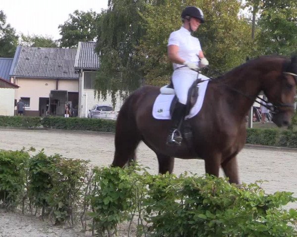 Reitturnier Olfen-Vinnum 2018