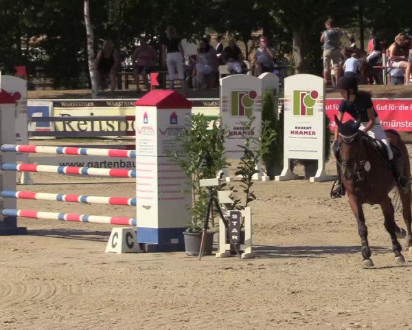 Reitturnier Olfen-Vinnum 2018