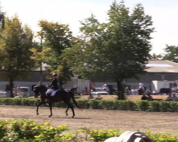 Reitturnier Olfen-Vinnum 2018