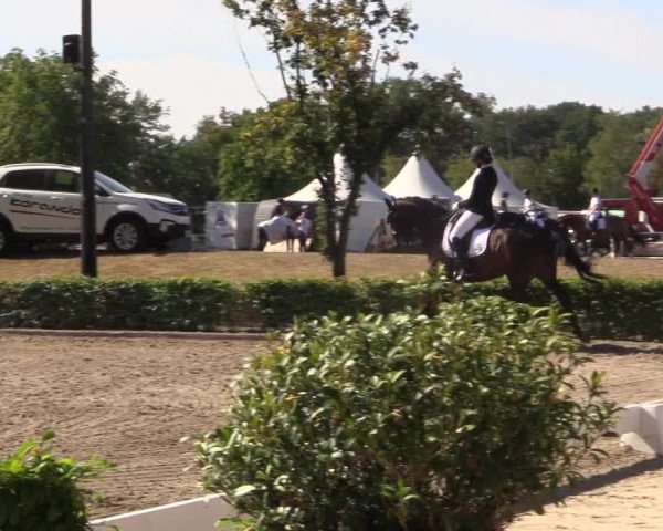 Reitturnier Olfen-Vinnum 2018