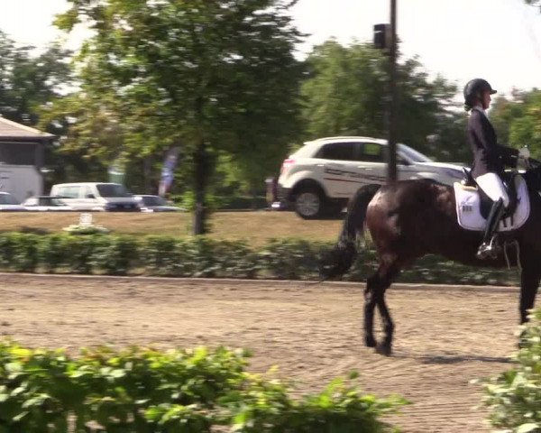Reitturnier Olfen-Vinnum 2018