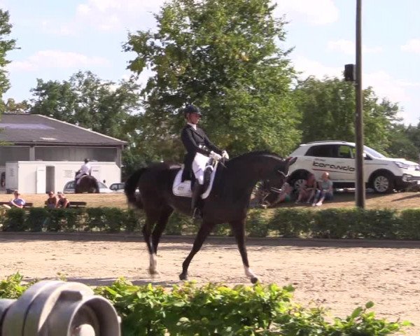 Reitturnier Olfen-Vinnum 2018