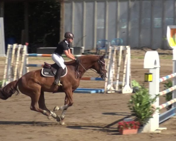 Reitturnier Neuss-Uedesheim 2018