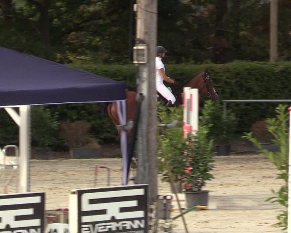 Reitturnier Olfen-Vinnum 2018
