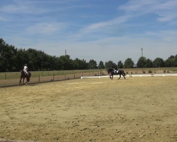 Reitturnier Neuss-Uedesheim 2018