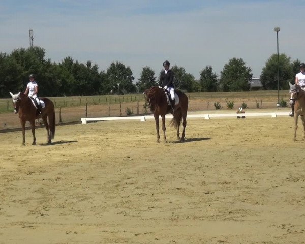 Reitturnier Neuss-Uedesheim 2018