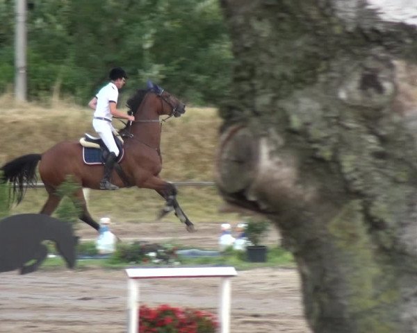 Reitturnier Neuss-Uedesheim 2018