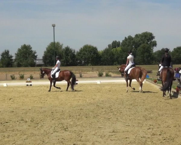 Reitturnier Neuss-Uedesheim 2018