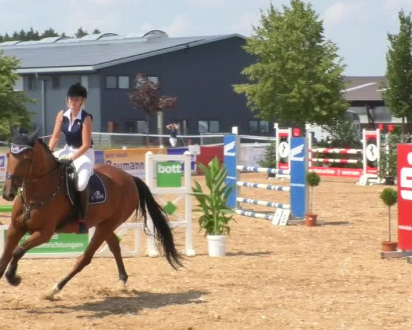 Horse Summer Meeting Jagstzell 2018