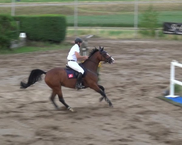 Reitturnier Neuss-Uedesheim 2018