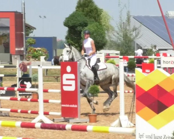 Horse Summer Meeting Jagstzell 2018