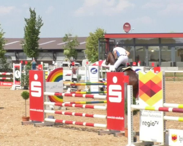Horse Summer Meeting Jagstzell 2018