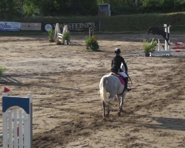 Reitturnier Neuss-Uedesheim 2018