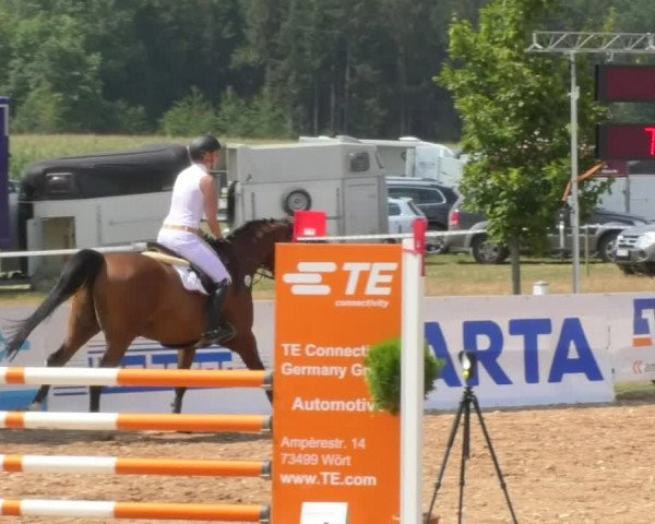 Horse Summer Meeting Jagstzell 2018