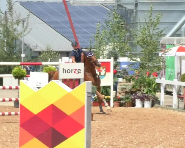 Horse Summer Meeting Jagstzell 2018