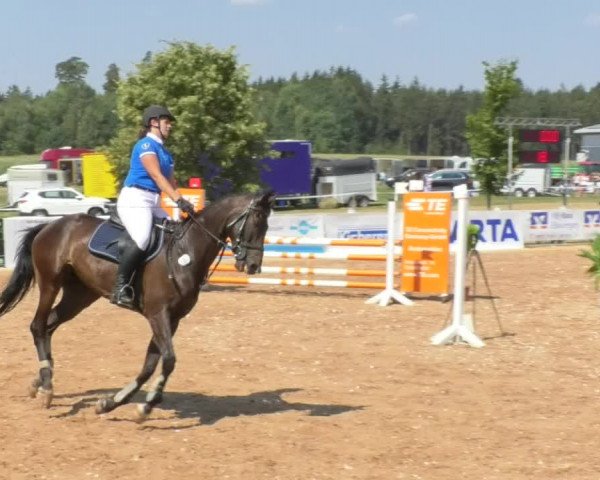 Horse Summer Meeting Jagstzell 2018