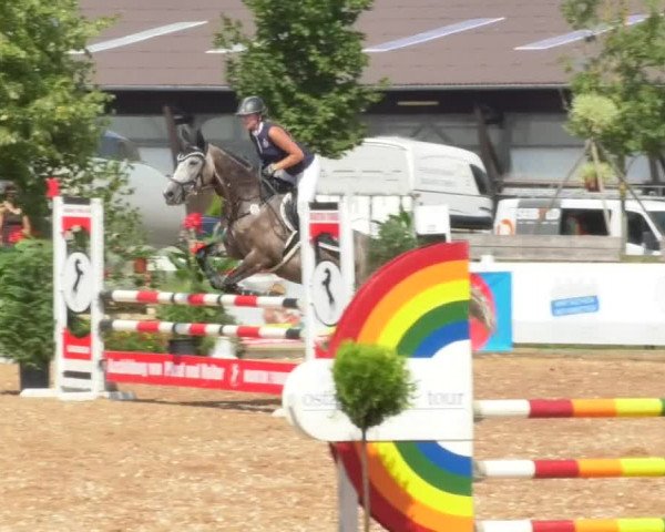 Horse Summer Meeting Jagstzell 2018