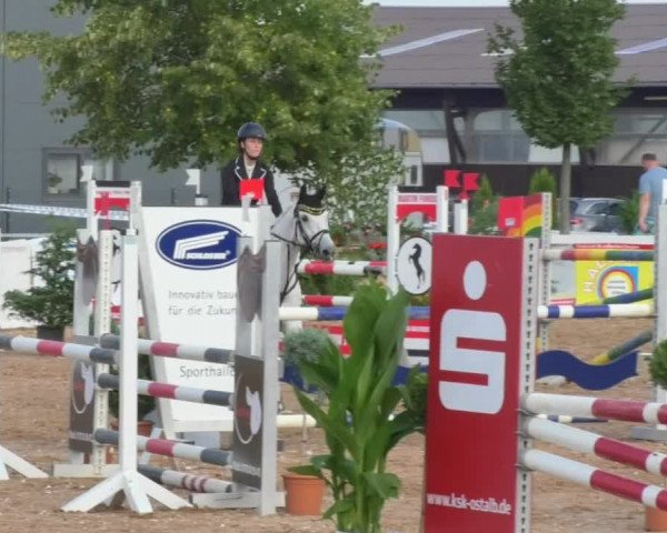 Horse Summer Meeting Jagstzell 2018