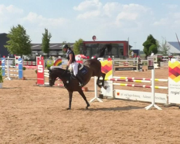 Horse Summer Meeting Jagstzell 2018