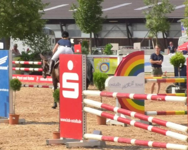 Horse Summer Meeting Jagstzell 2018