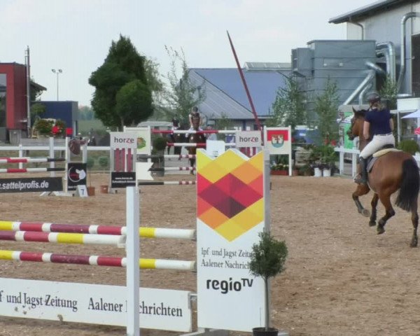 Horse Summer Meeting Jagstzell 2018