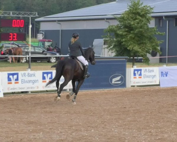 Horse Summer Meeting Jagstzell 2018