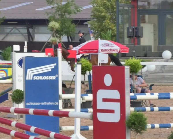 Horse Summer Meeting Jagstzell 2018