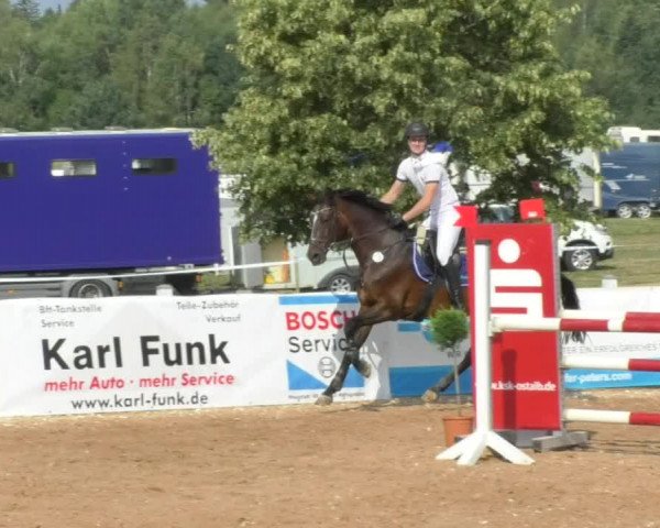Horse Summer Meeting Jagstzell 2018