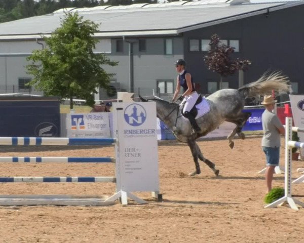 Horse Summer Meeting Jagstzell 2018