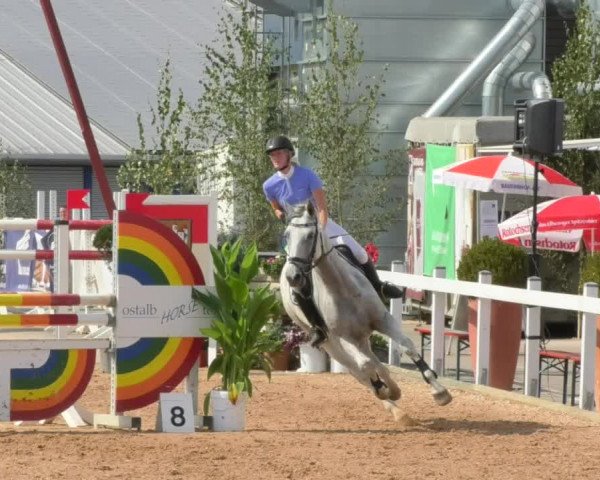 Horse Summer Meeting Jagstzell 2018