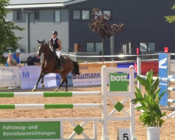 Horse Summer Meeting Jagstzell 2018