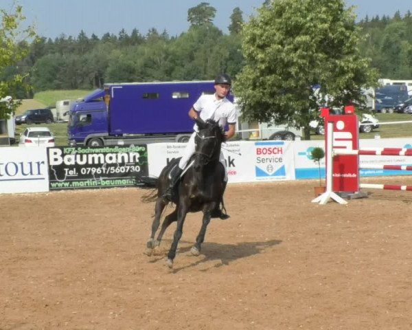 Horse Summer Meeting Jagstzell 2018