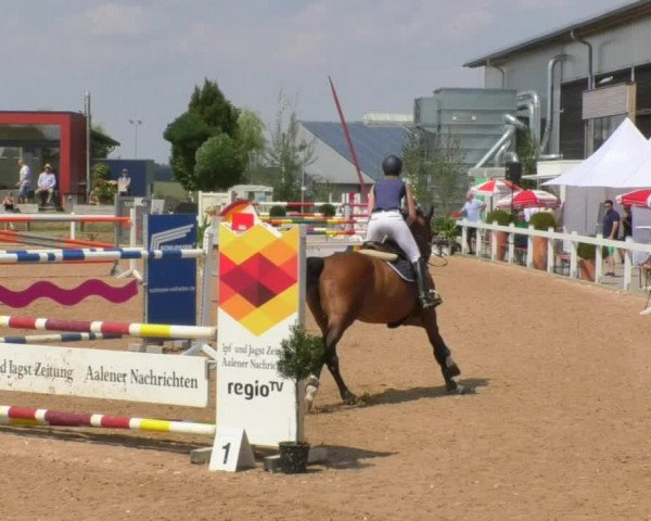 Horse Summer Meeting Jagstzell 2018
