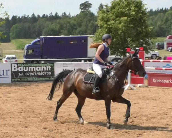 Horse Summer Meeting Jagstzell 2018