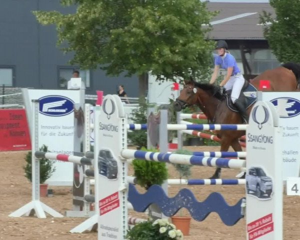 Horse Summer Meeting Jagstzell 2018