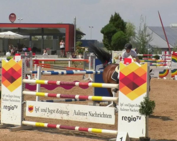 Horse Summer Meeting Jagstzell 2018