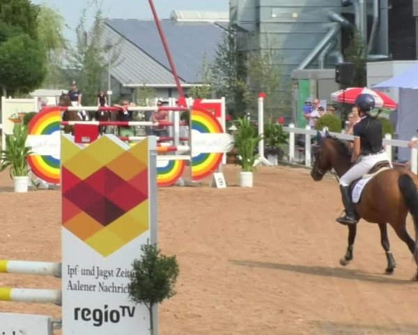 Horse Summer Meeting Jagstzell 2018