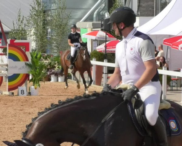 Horse Summer Meeting Jagstzell 2018