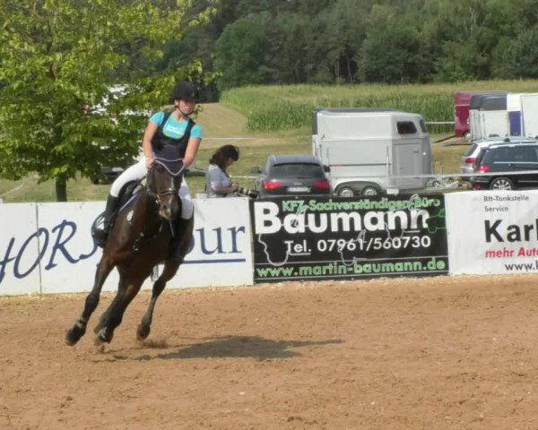 Horse Summer Meeting Jagstzell 2018