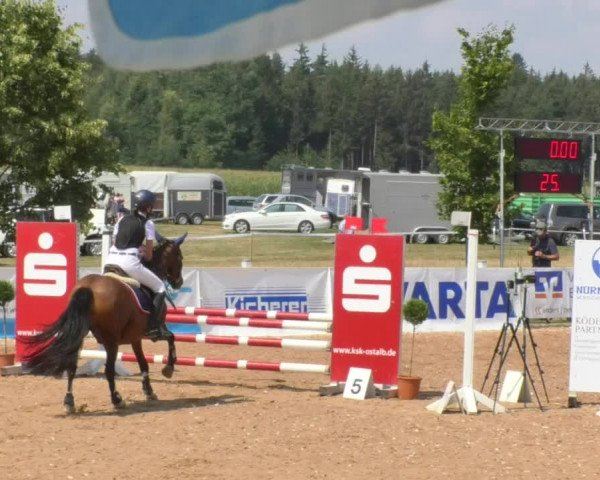 Horse Summer Meeting Jagstzell 2018